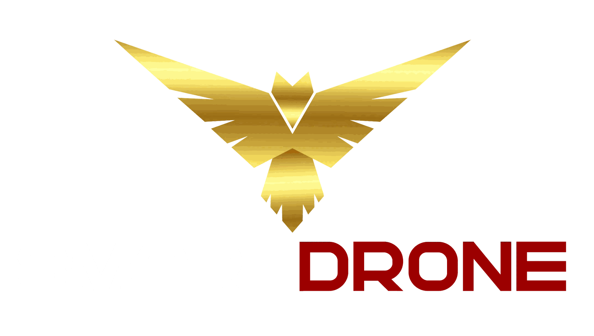 SAMRTDRONE