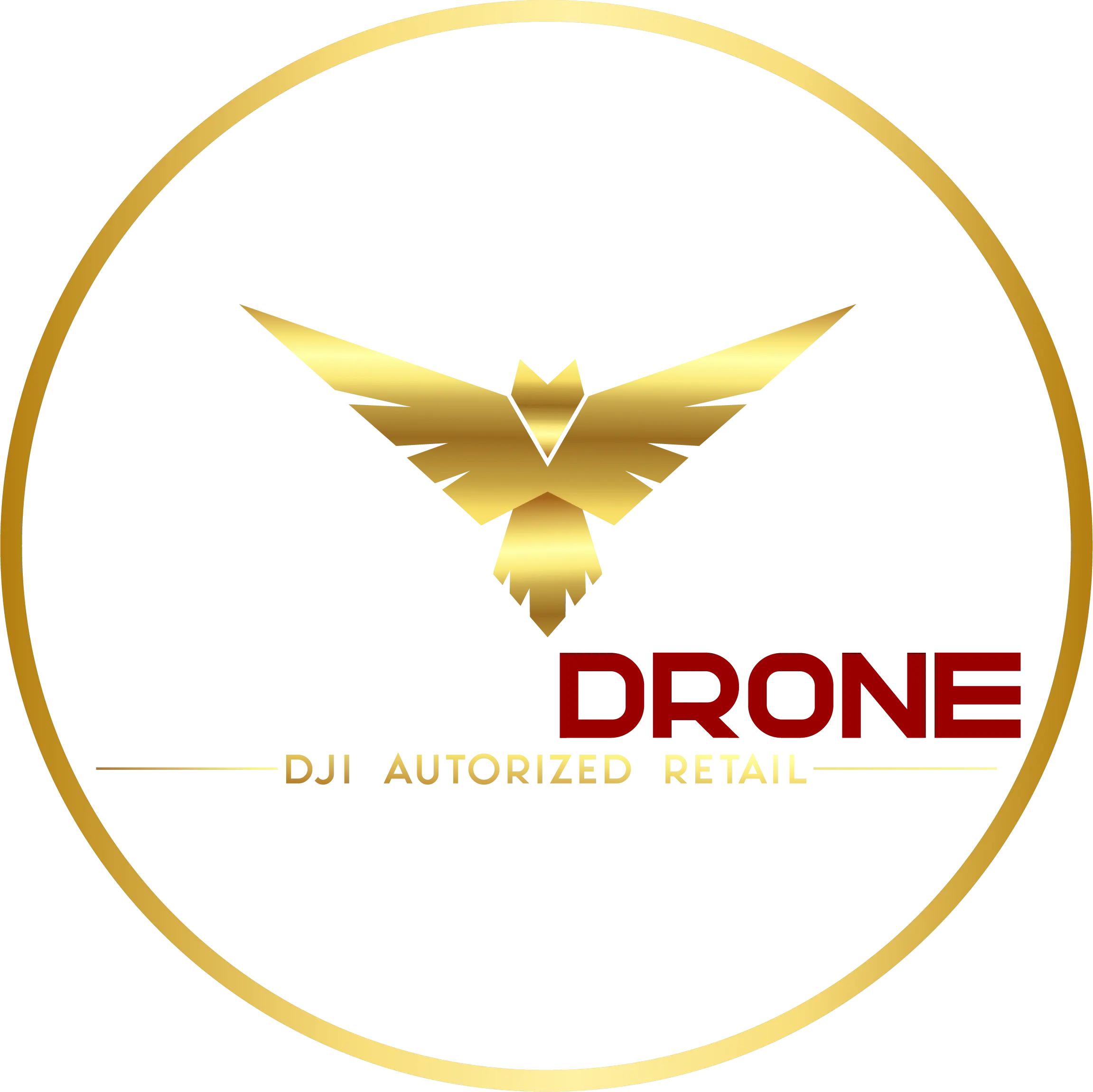 SMARTDRONE